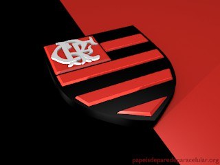 Flamengo 3D 320x240