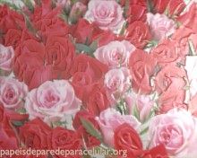 Flores Vermelhas e Rosas com Efeito 3D 220x176
