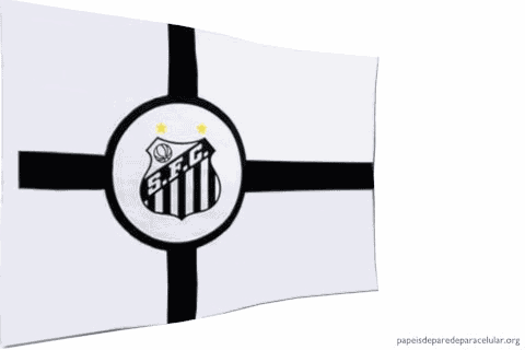 Bandeira Animada do Santos
