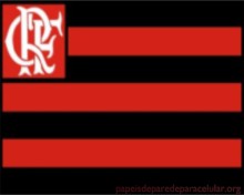 Flamengo 220x176
