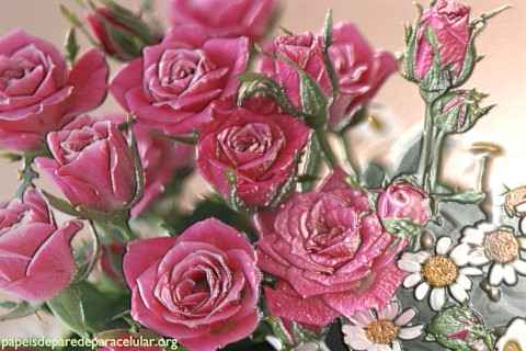 Flores Rosas com Efeito 3D 480x320
