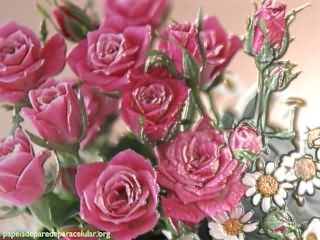 Papel de Parede para Celular - Natureza - Flores Rosas com Efeito 3D - 3