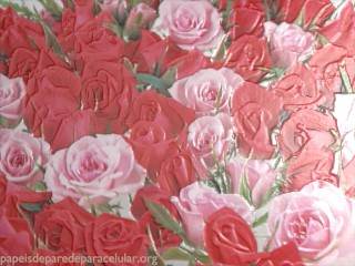 Flores Vermelhas e Rosas com Efeito 3D 320x240