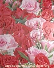 Flores Vermelhas e Rosas com Efeito 3D 176x220